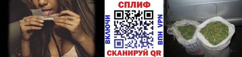 Бошки марихуана марихуана  Махачкала 